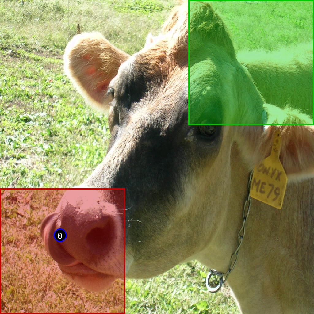 sat pic of Cow
