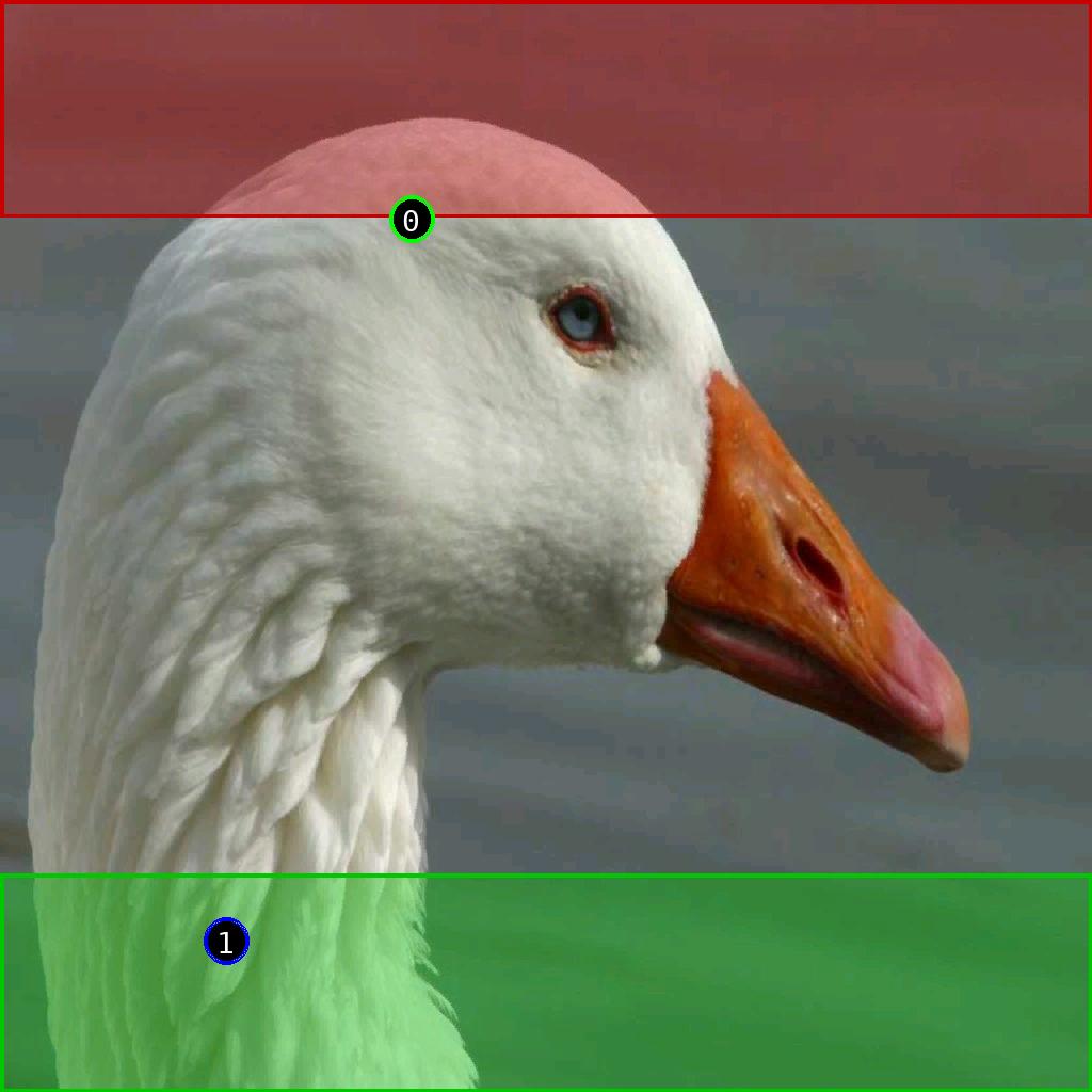 sat pic of duck