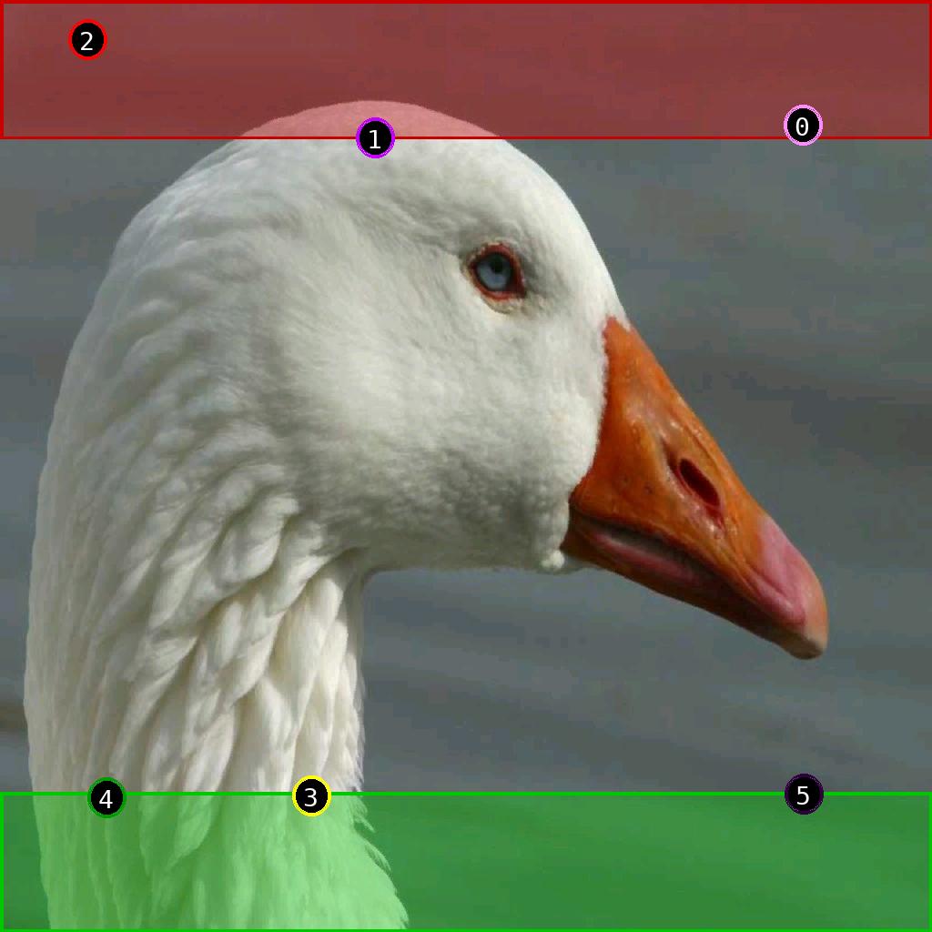 sat pic of duck