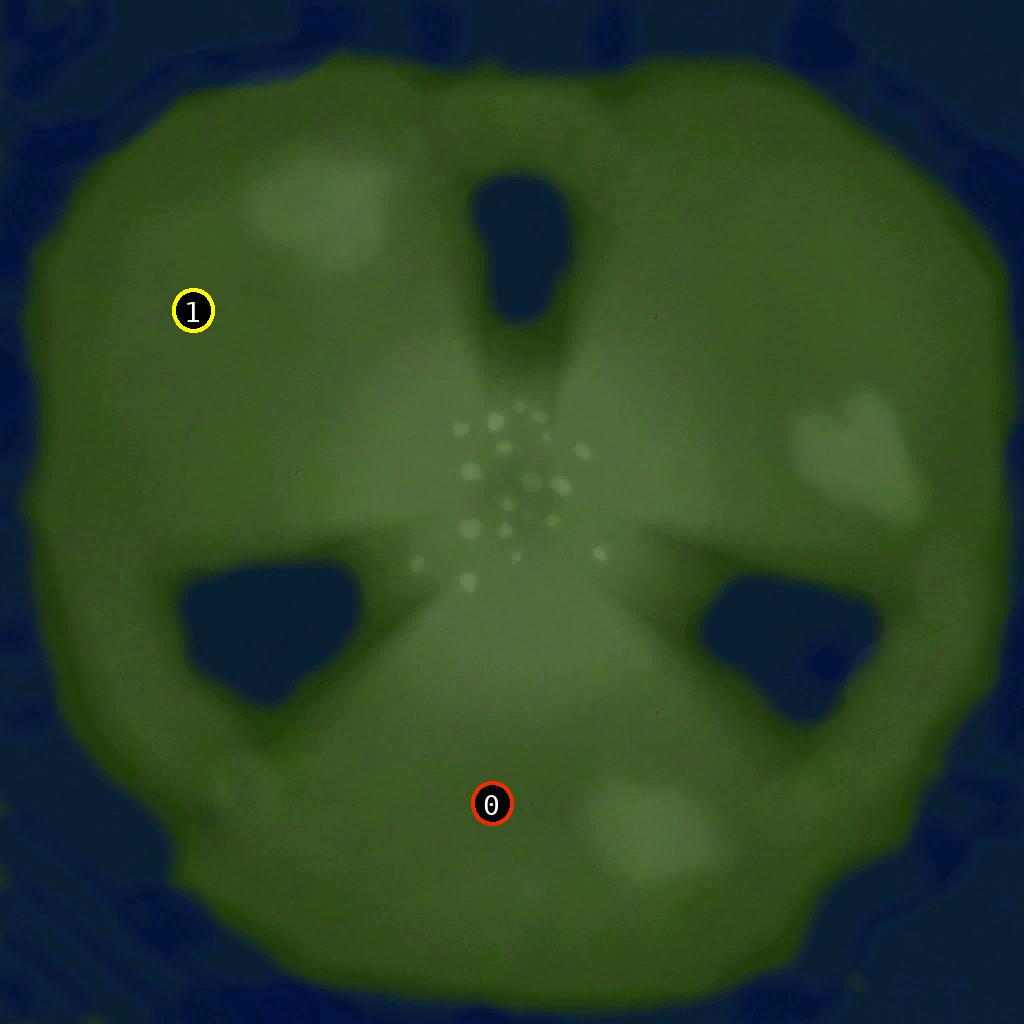 sat pic of Curved_Focus