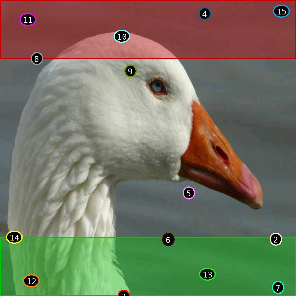 sat pic of duck