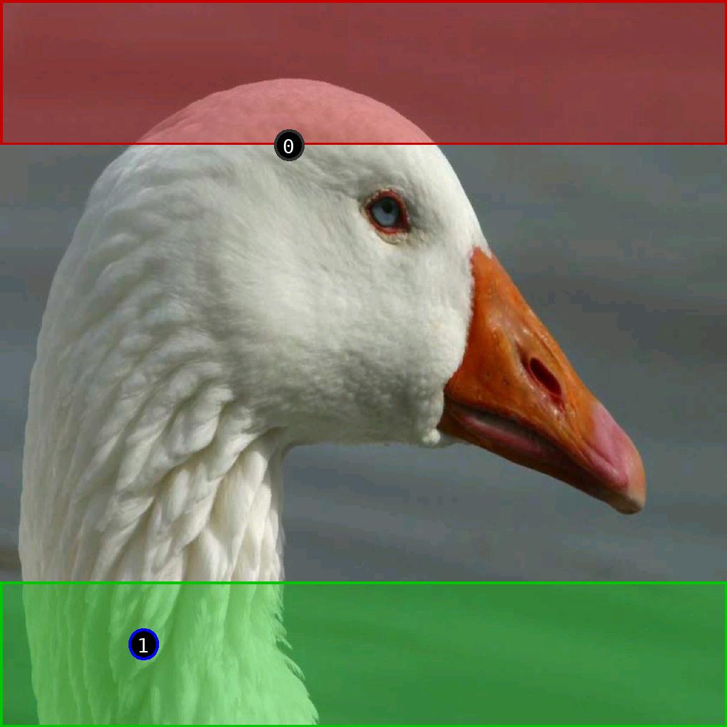 sat pic of duck