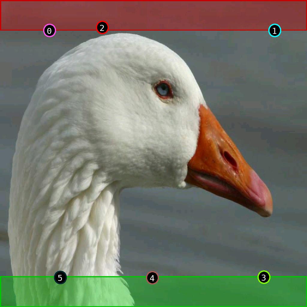 sat pic of duck
