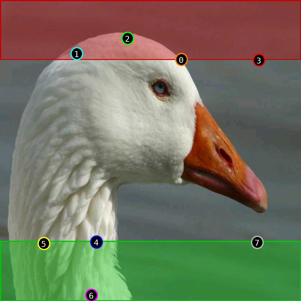 sat pic of duck