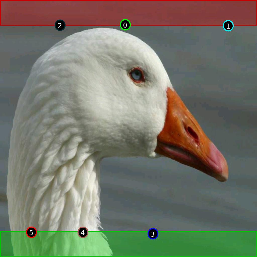 sat pic of duck