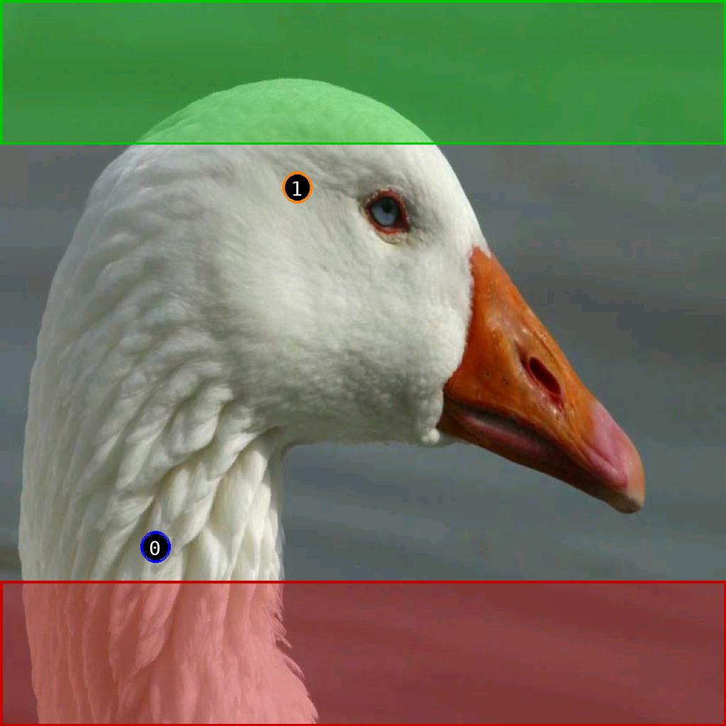 sat pic of duck