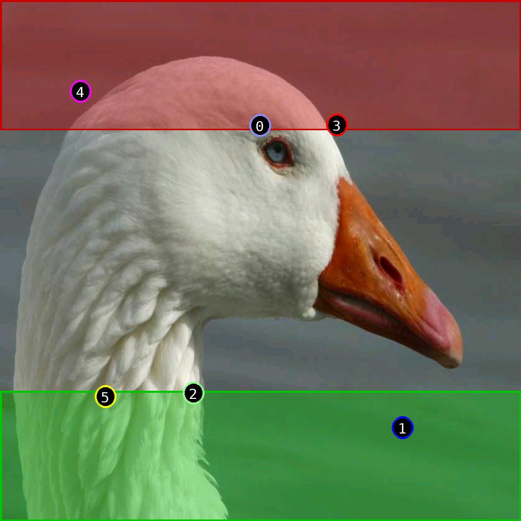 sat pic of duck