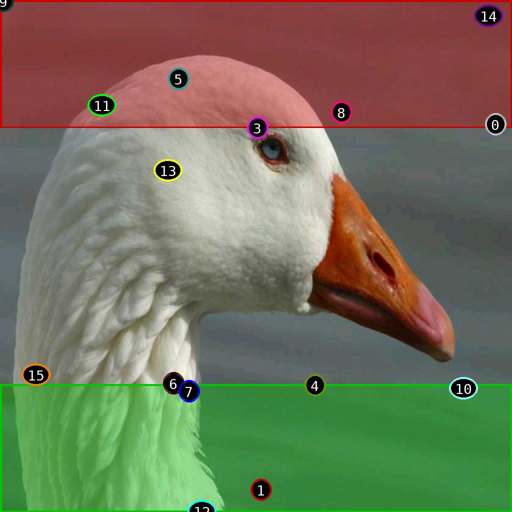 sat pic of duckfusionsfix